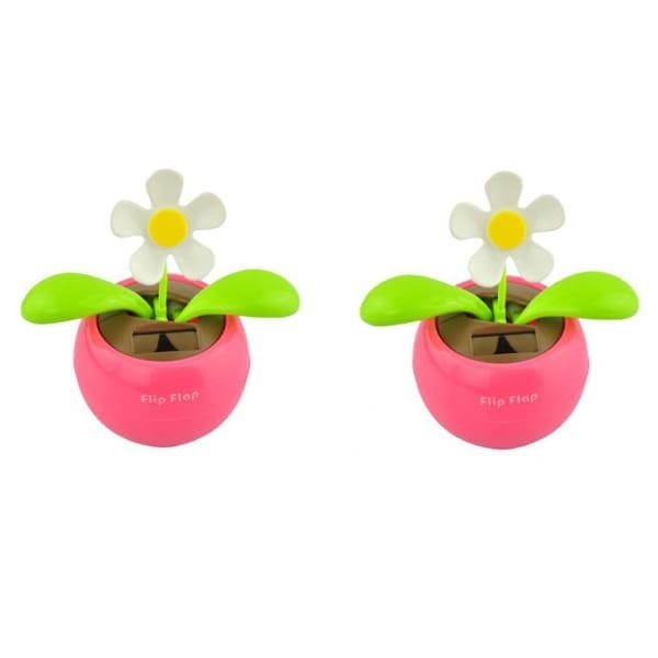 Flip Flap Dancing Sun Flower Plant